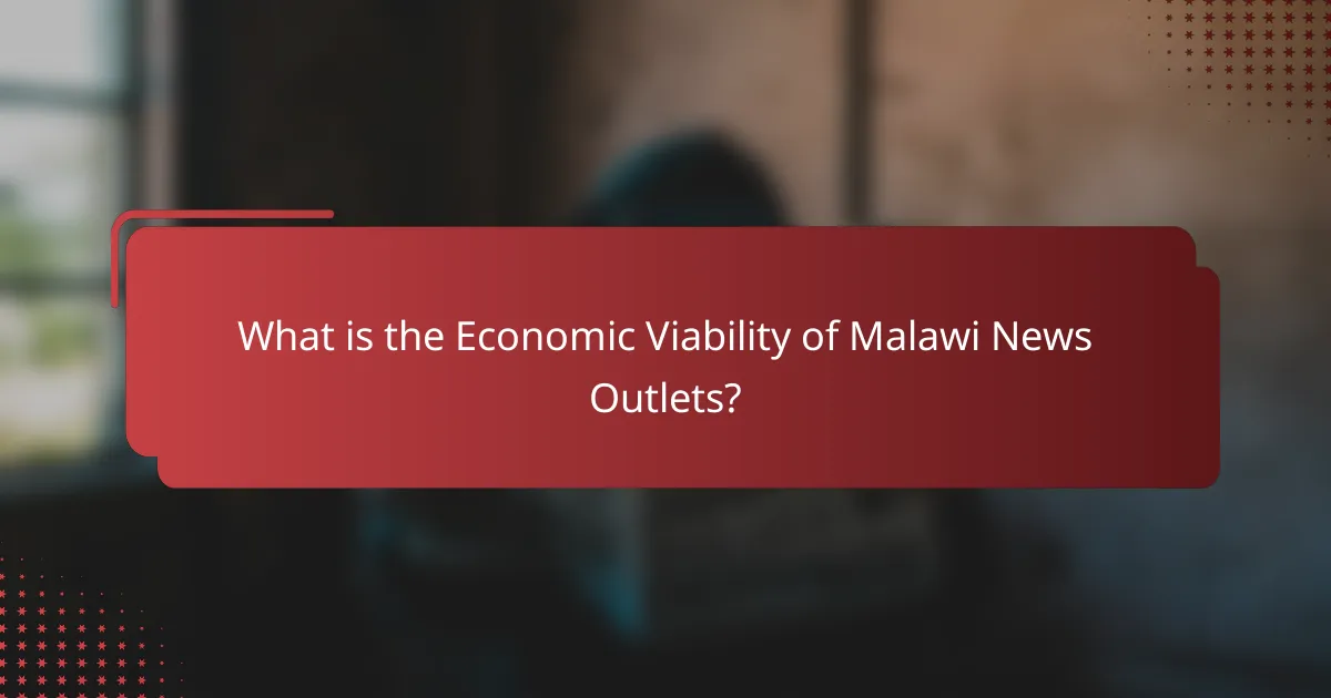 What is the Economic Viability of Malawi News Outlets?